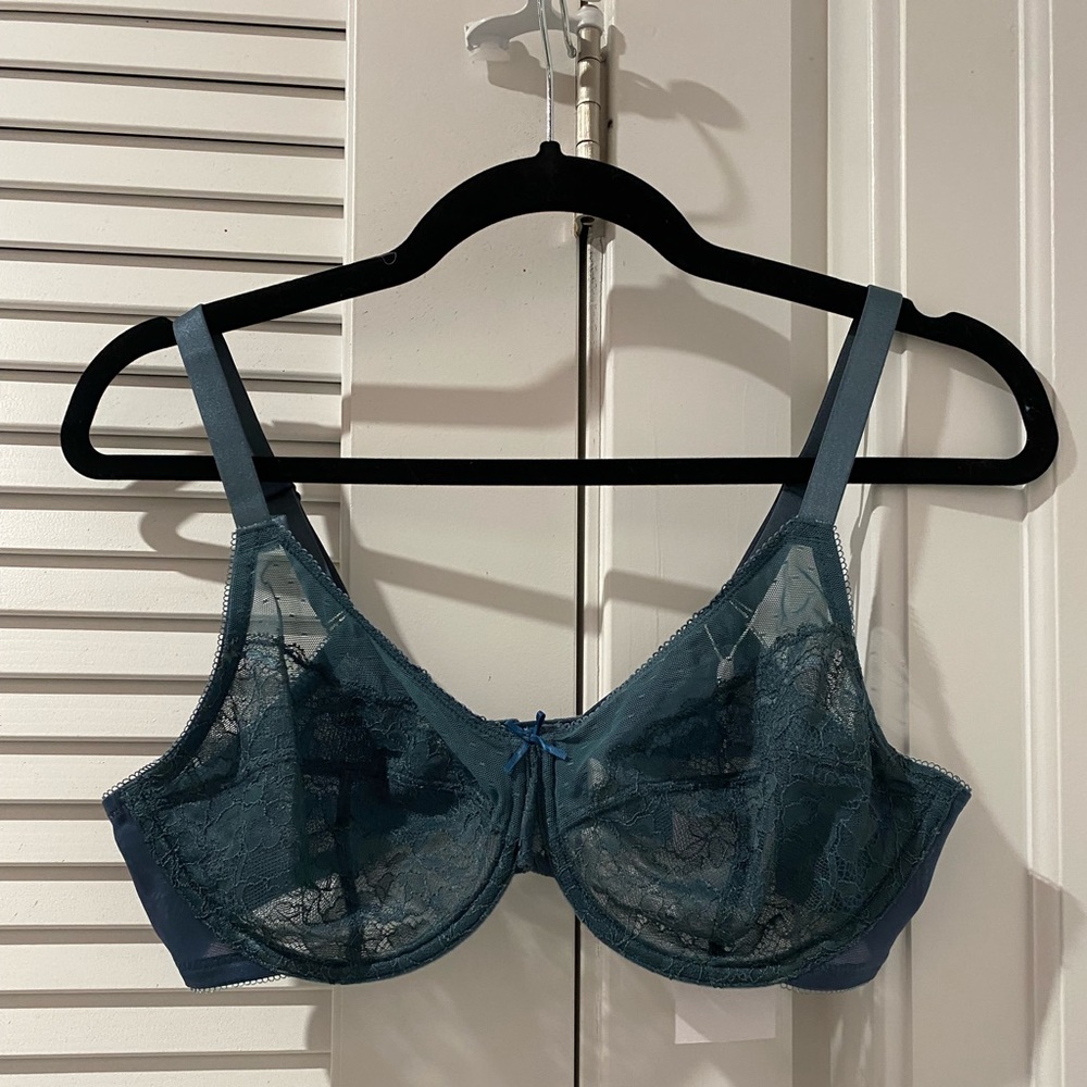 HSIA Bra NWT 36C